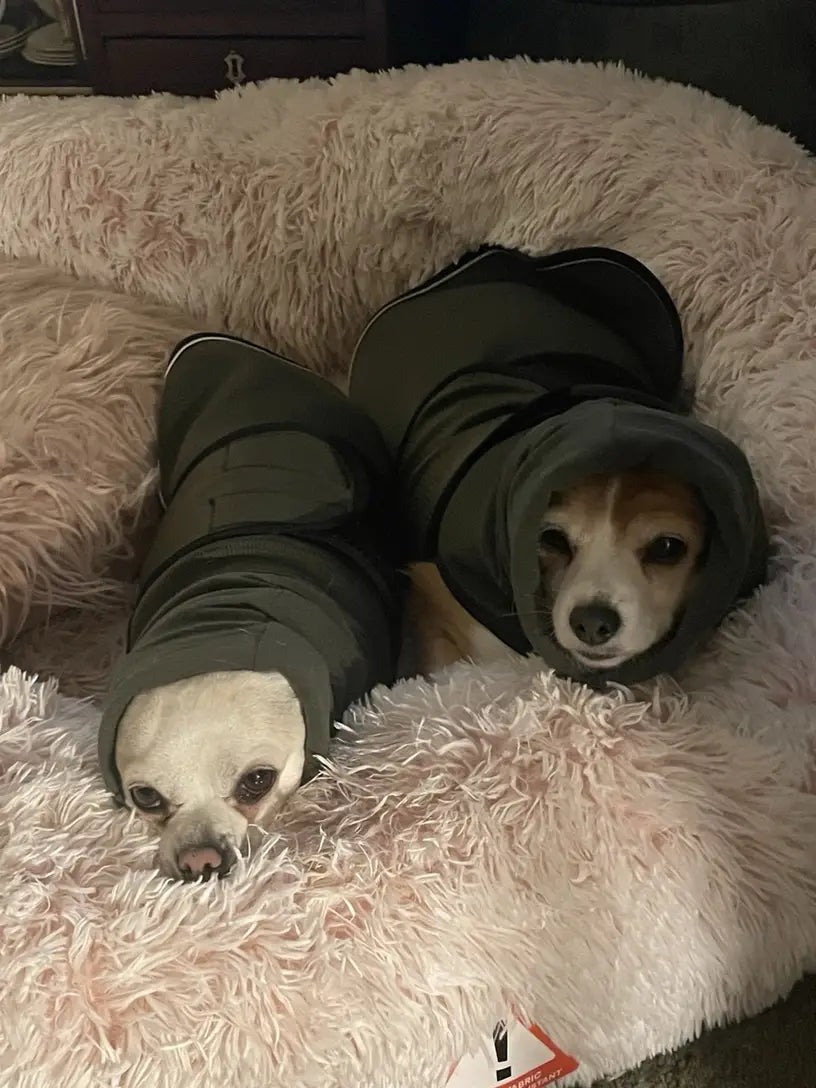 <strong>– Amanda R., United Kingdom</strong>