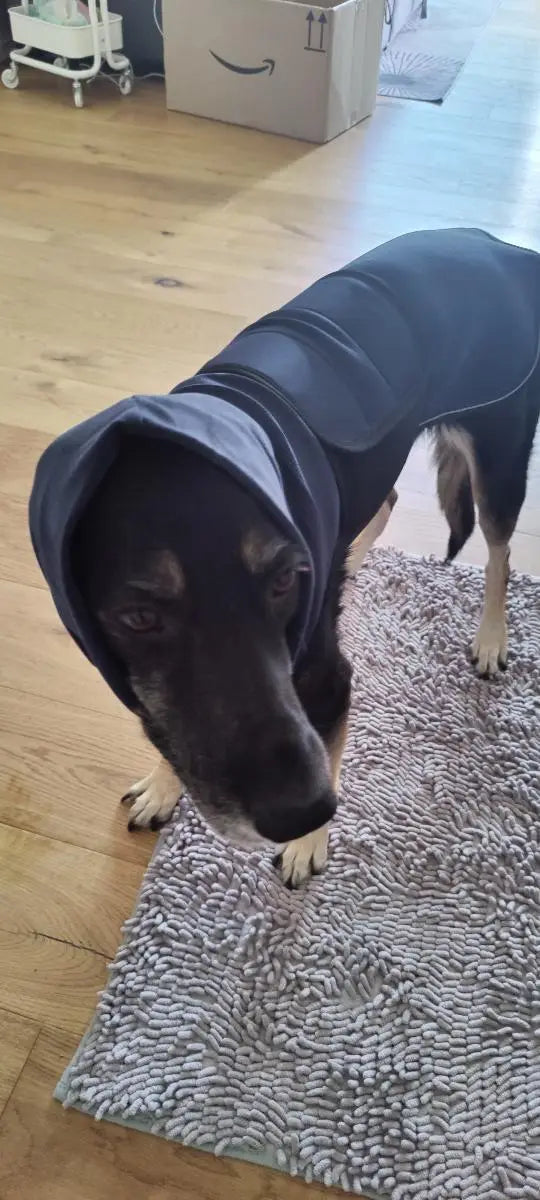 <strong>– Jason L., Canada</strong>