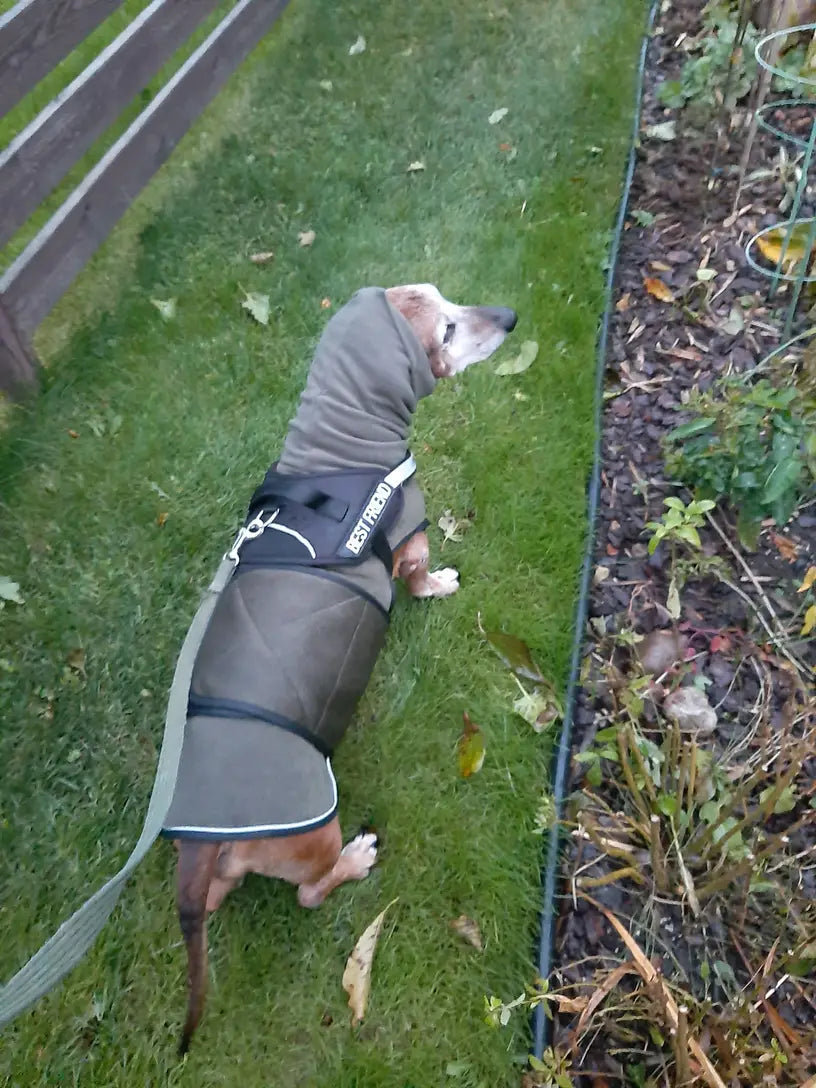 <strong>– Sarah T., USA</strong>